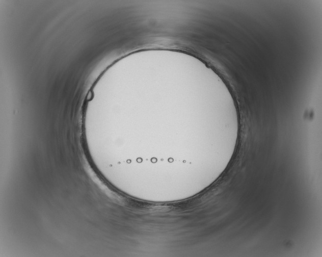 X0000114151479200911051432