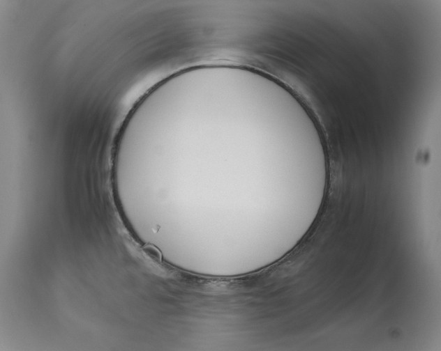 X0000114151480200911051432