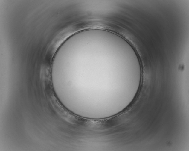 X0000114151481200911051432
