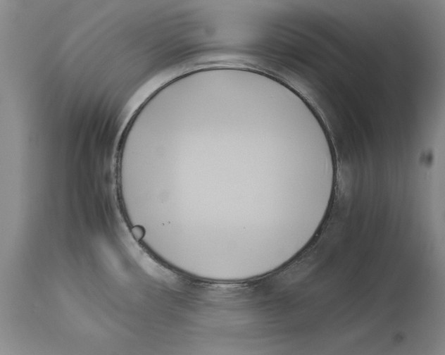 X0000114151482200911051432