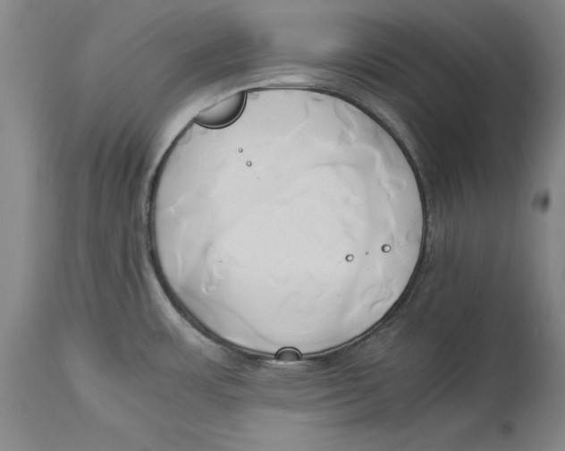 X0000114151483200911051432