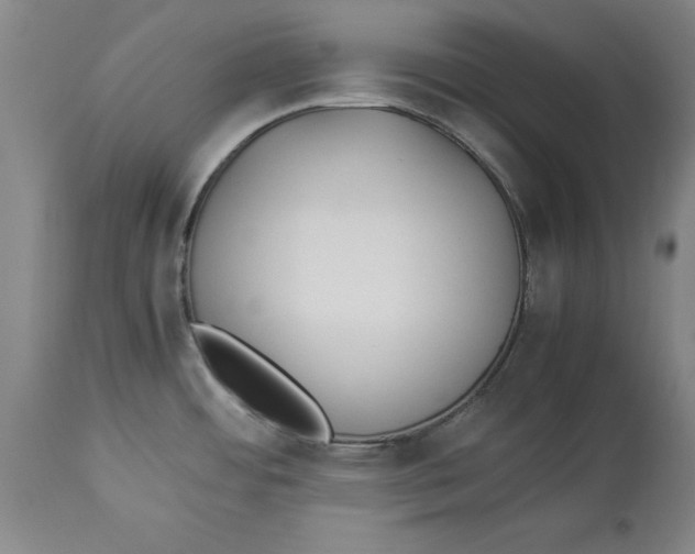 X0000114151484200911051432