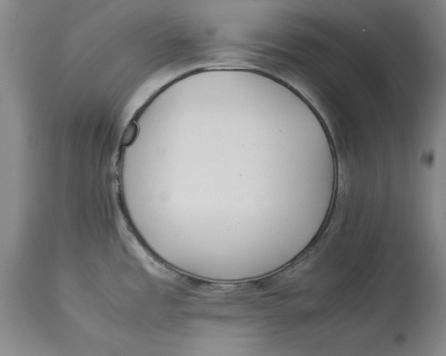 X0000114151485200911051432