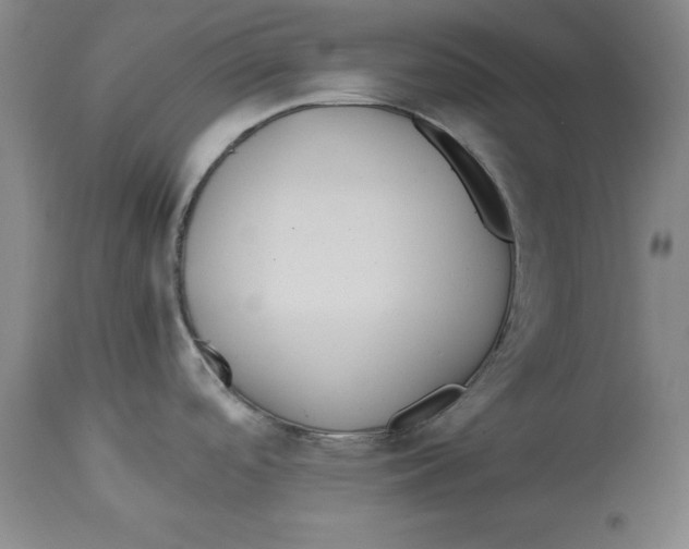 X0000114151488200911051431