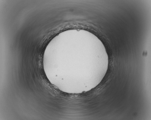 X0000114151490200911051431