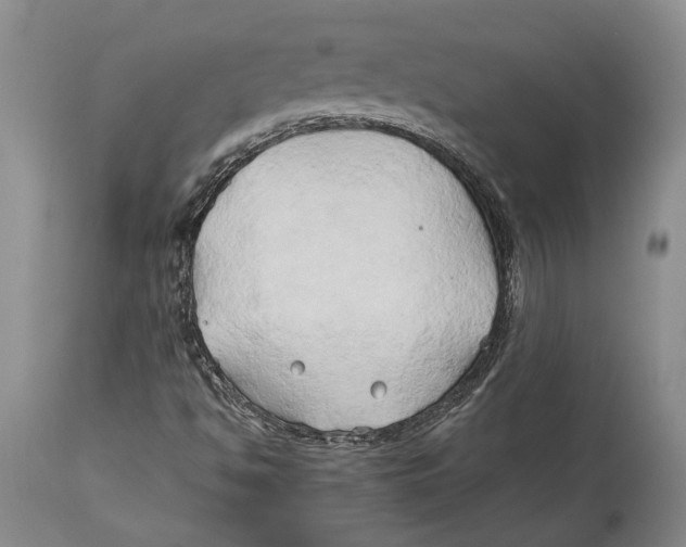X0000114151494200911051431