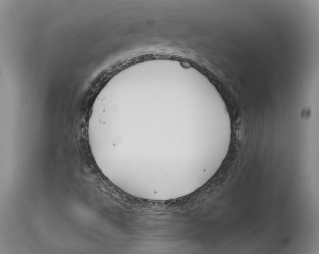 X0000114151495200911051431