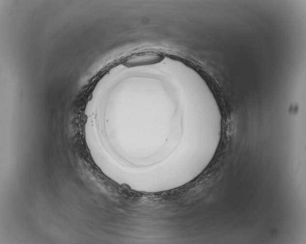 X0000114151496200911051431