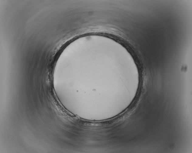 X0000114151497200911051431