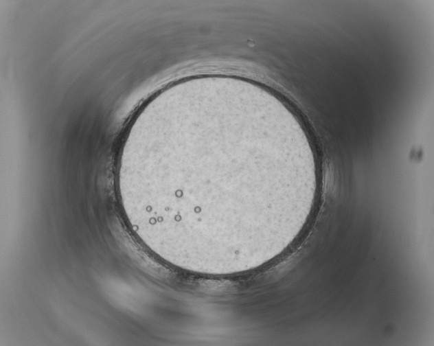 X0000114151498200911051431