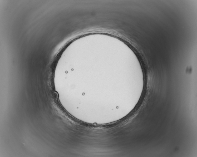 X0000114151502200911051431