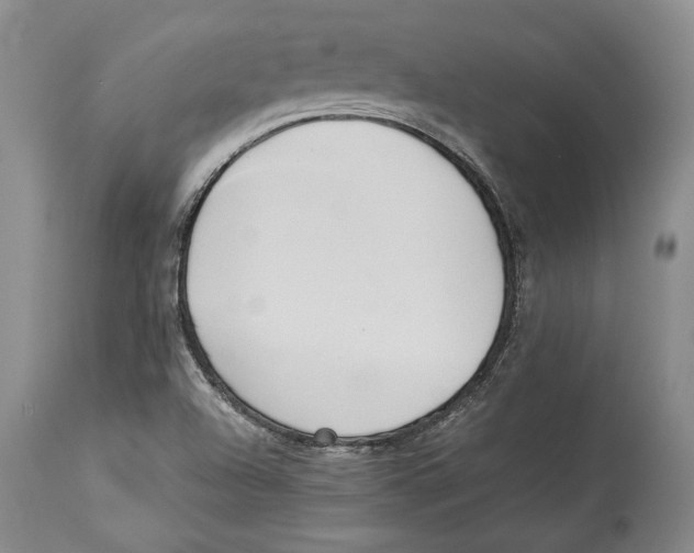 X0000114151504200911051431