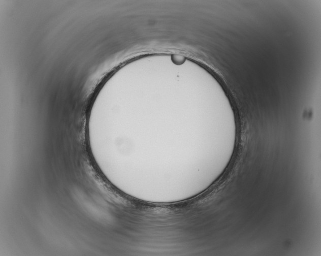 X0000114151507200911051431