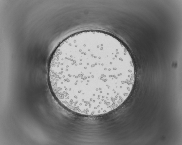 X0000114151508200911051431