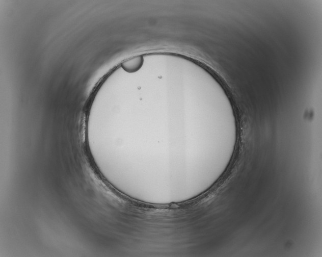 X0000114151510200911051431