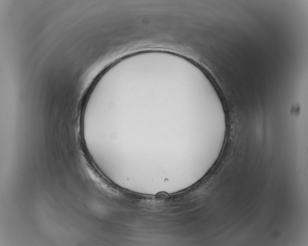 X0000114151511200911051431