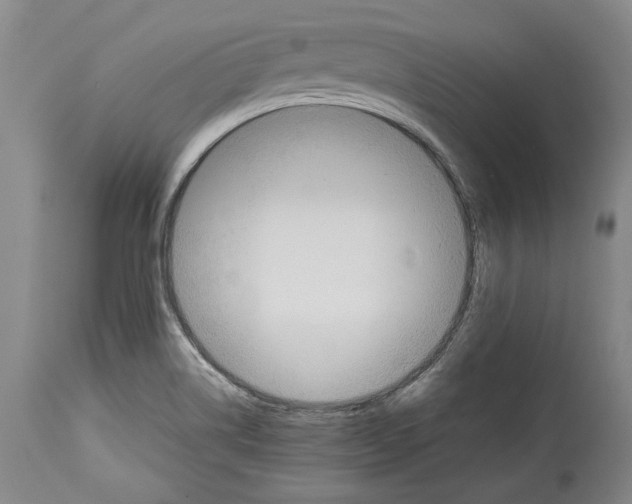 X0000114151514200911051431