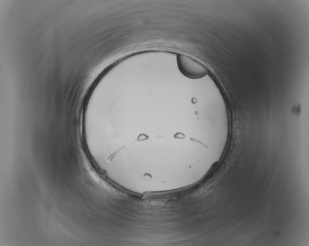 X0000114151515200911051431