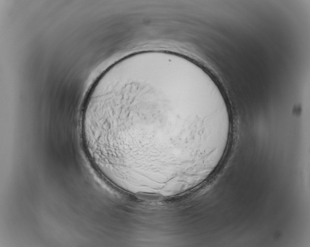 X0000114151517200911051431