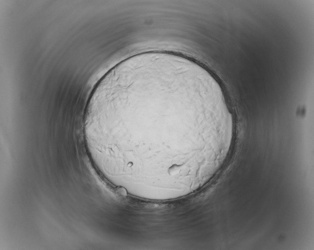 X0000114151521200911051431