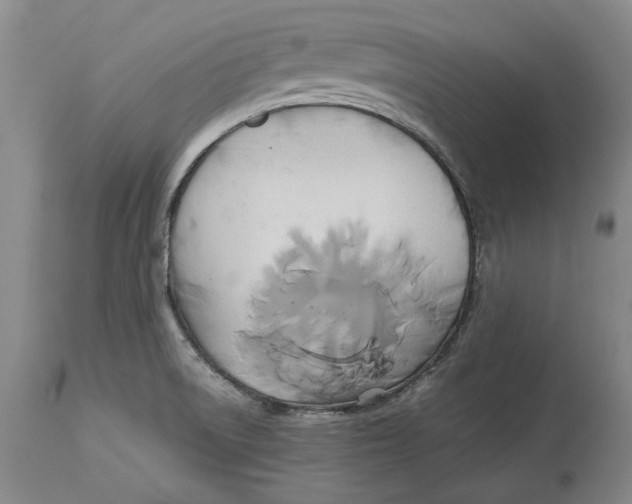 X0000114151522200911051431
