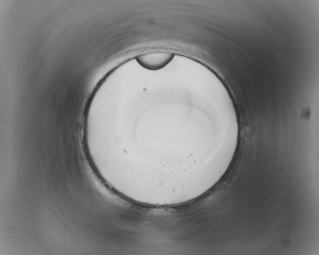 X0000114151523200911051431