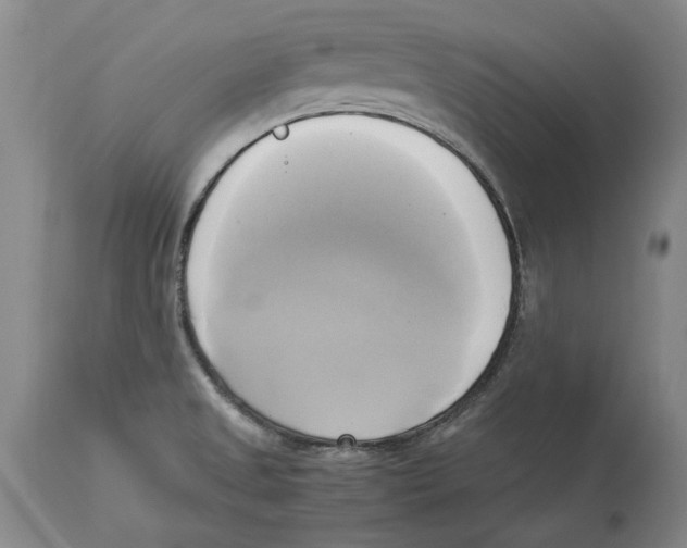 X0000114151525200911051431