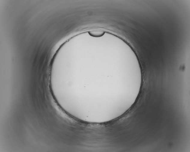 X0000114151526200911051431