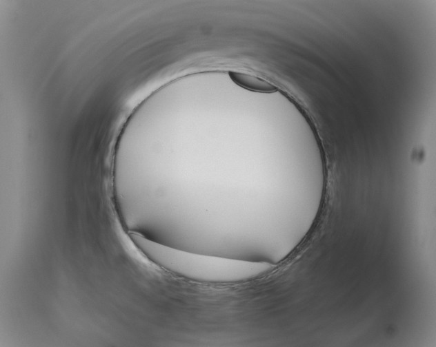 X0000114151528200911051431