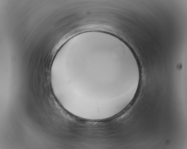 X0000114151529200911051431
