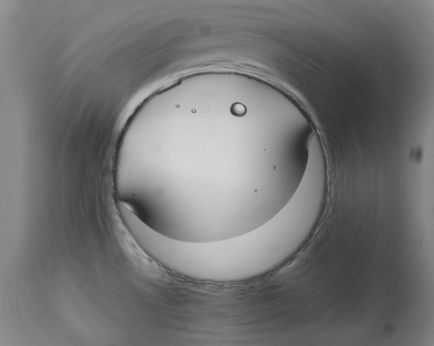 X0000114151530200911051431