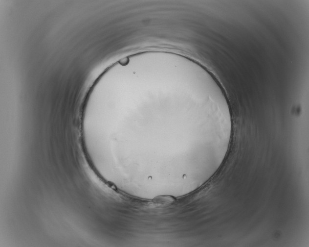 X0000114151531200911051431