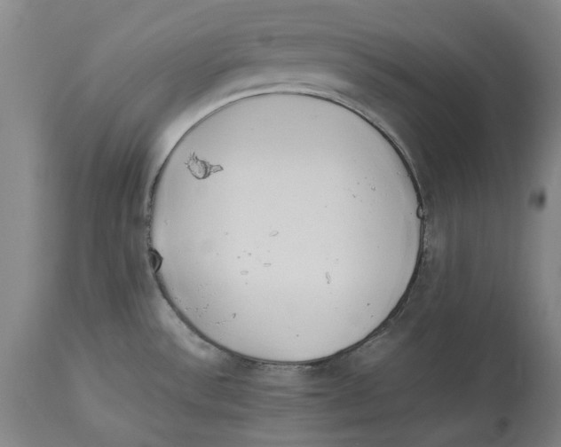 X0000114151532200911051431