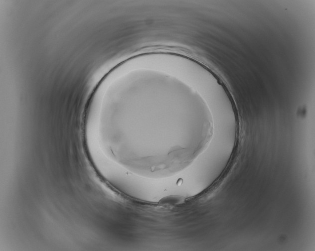 X0000114151533200911051431