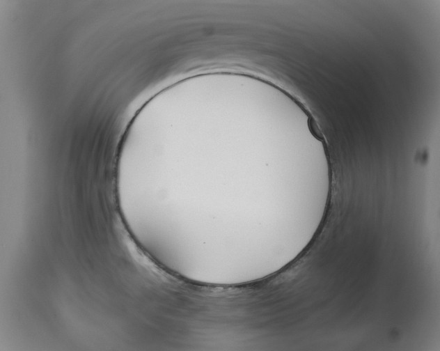 X0000114151534200911051431