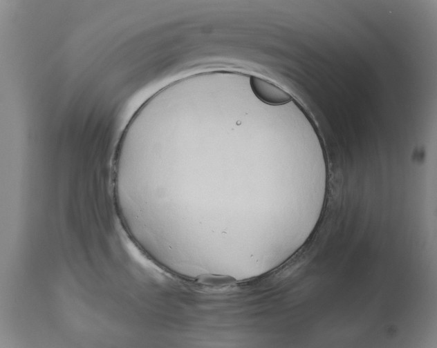X0000114151535200911051431