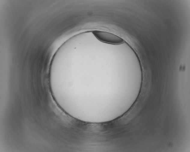 X0000114151536200911051431