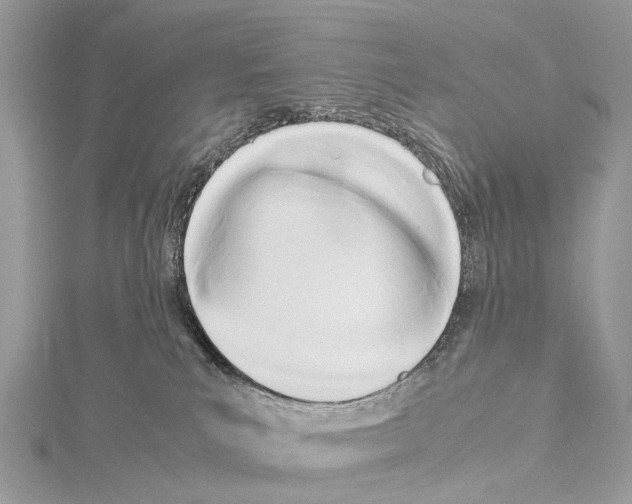 X0000114150039200911191213