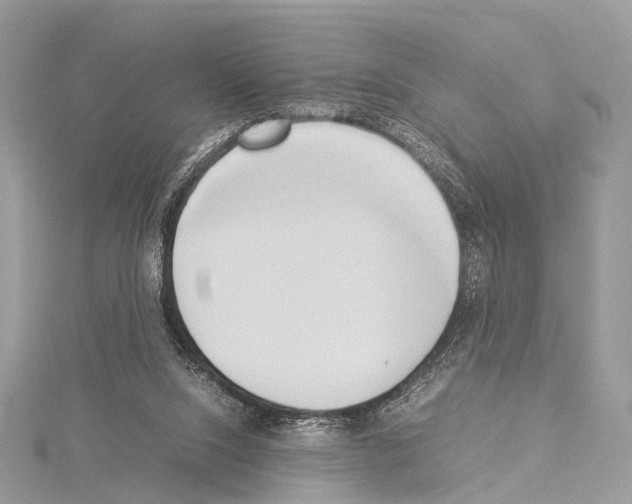 X0000114150064200911191213