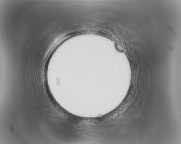 X0000114150103200911191213