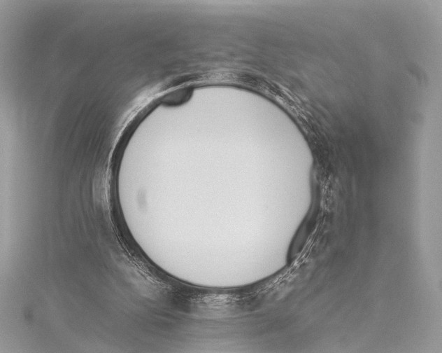 X0000114150152200911191212