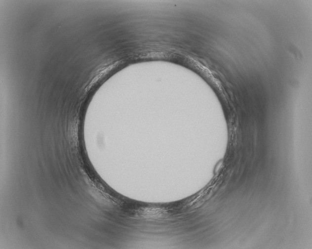 X0000114150154200911191212