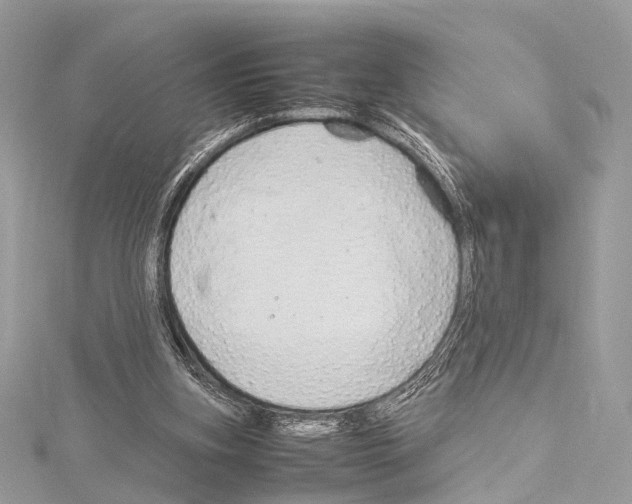 X0000114150155200911191212