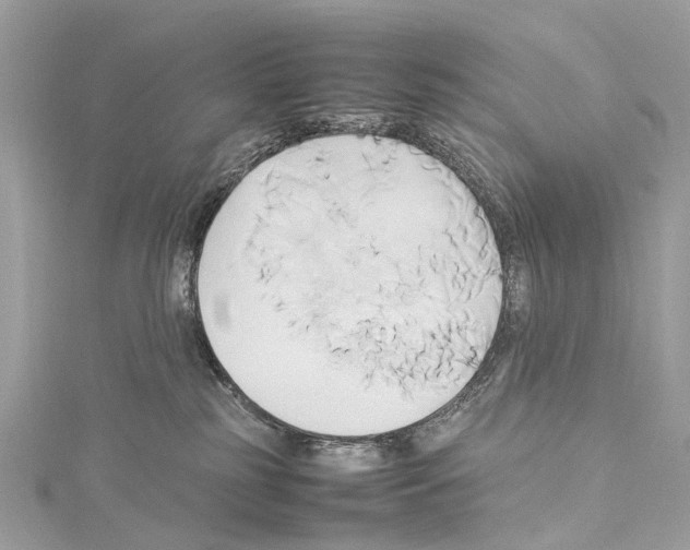 X0000114150185200911191212