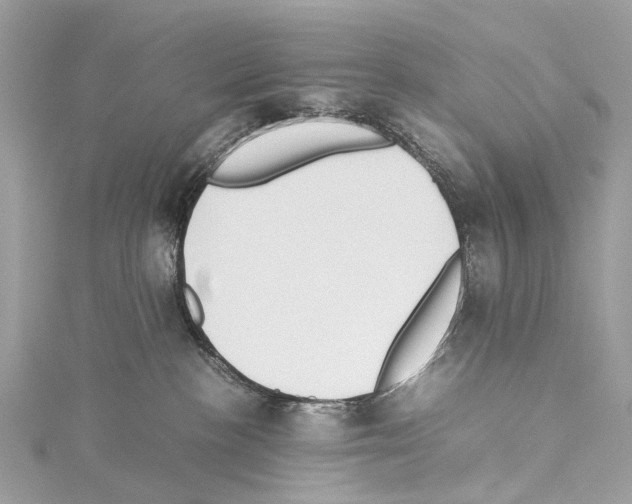 X0000114150188200911191212