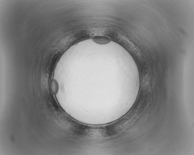 X0000114150209200911191211