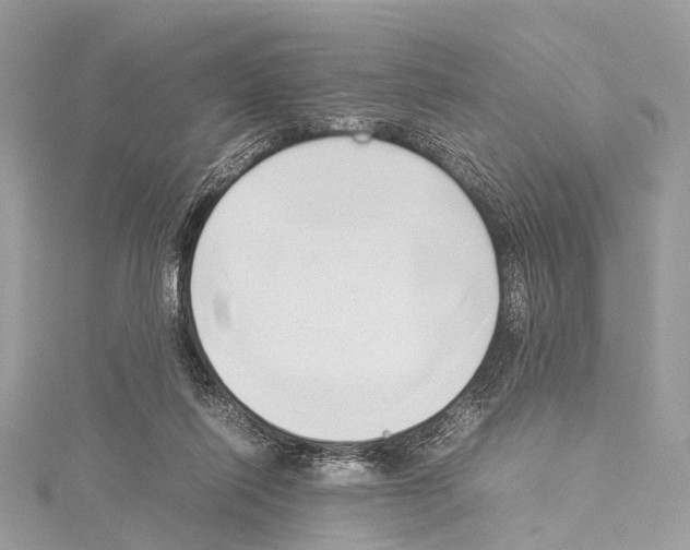 X0000114150262200911191210