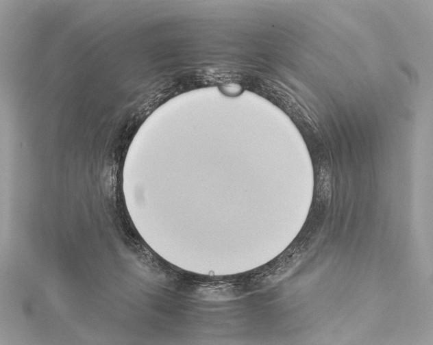 X0000114150271200911191211