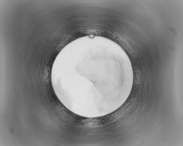 X0000114150273200911191211
