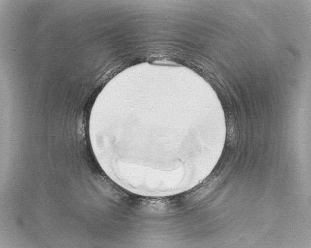 X0000114150282200911191211